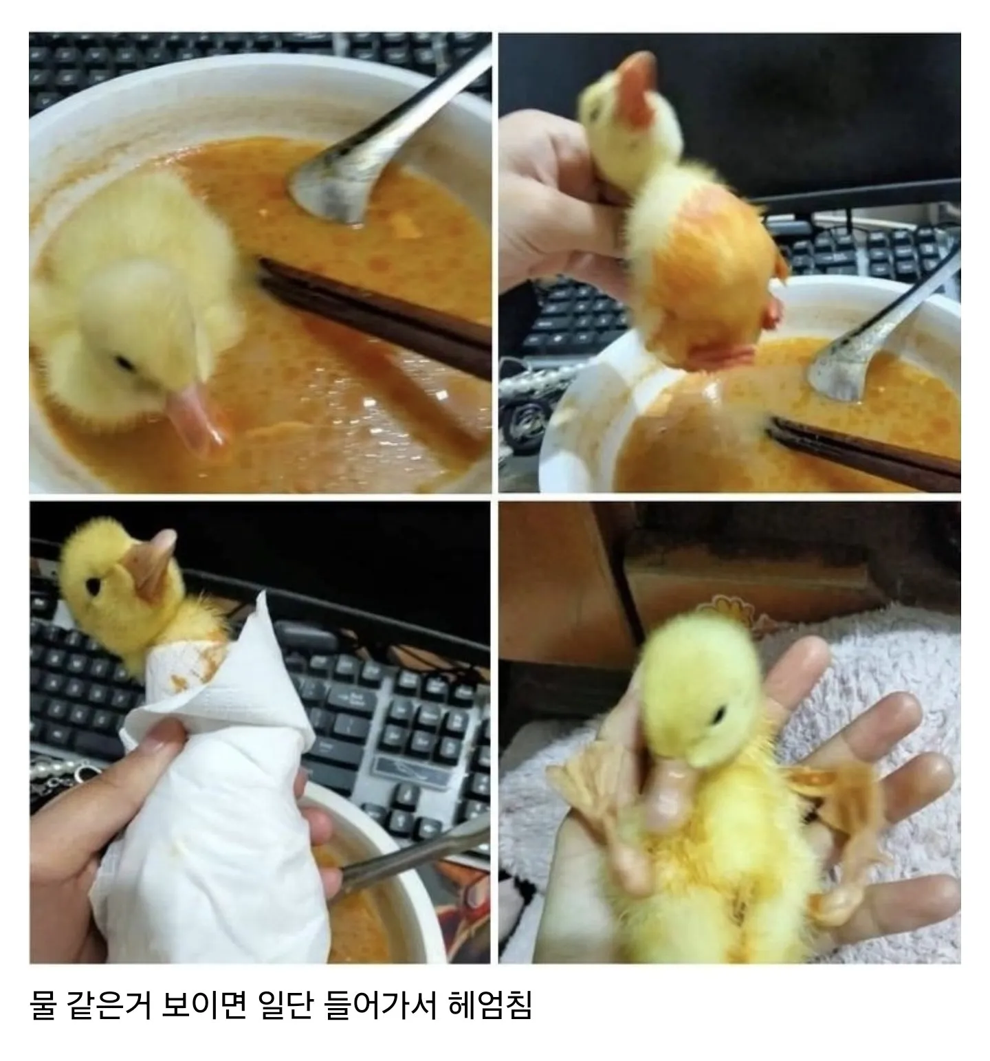 1746029119662.webp