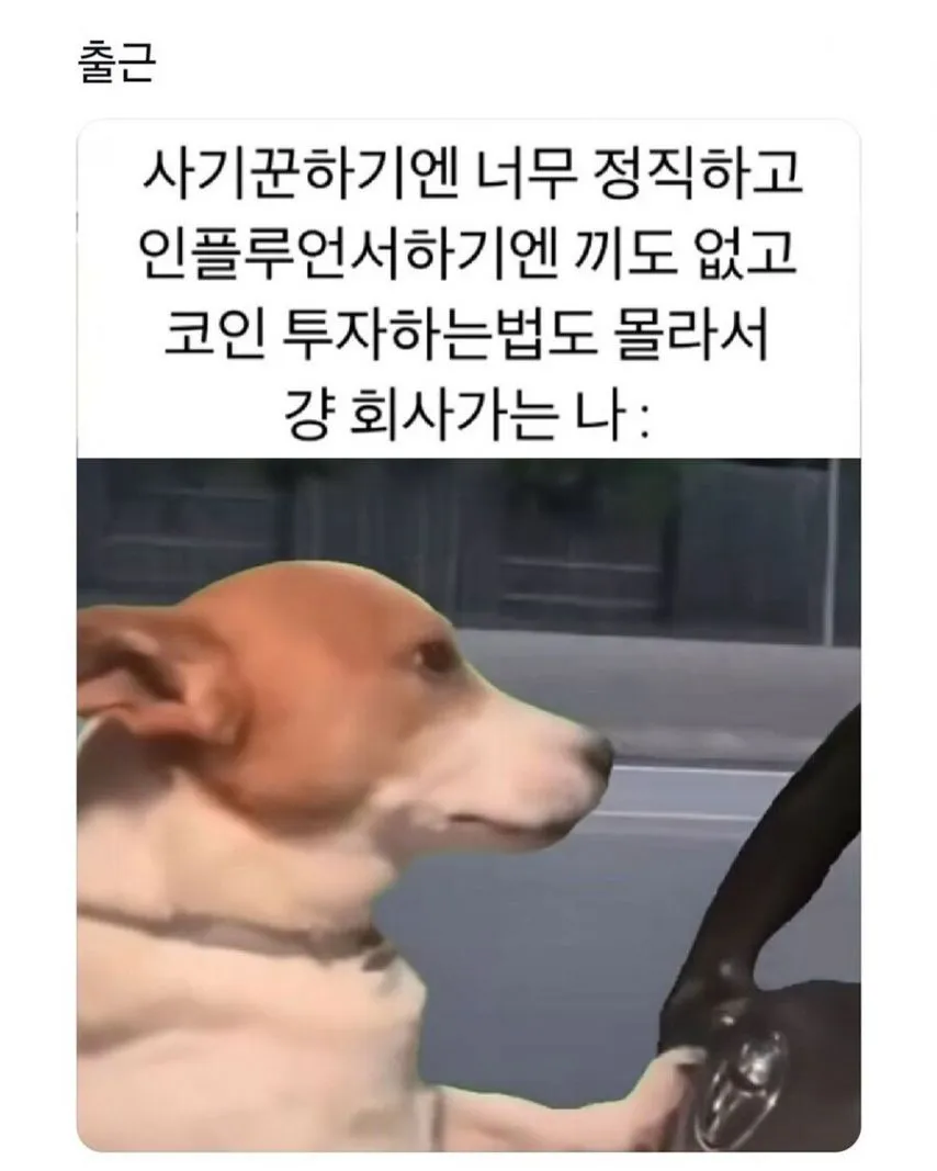 17460949363711.webp