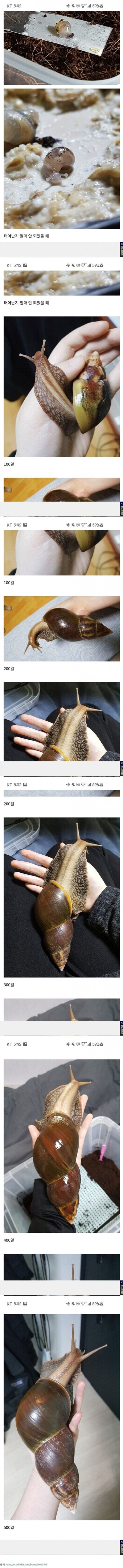 17461049252745.jpeg